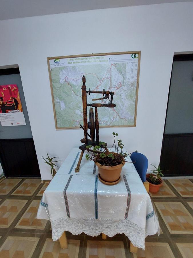 Pensiune Agroturistica "Casa Teodora" Budeşti Exterior foto