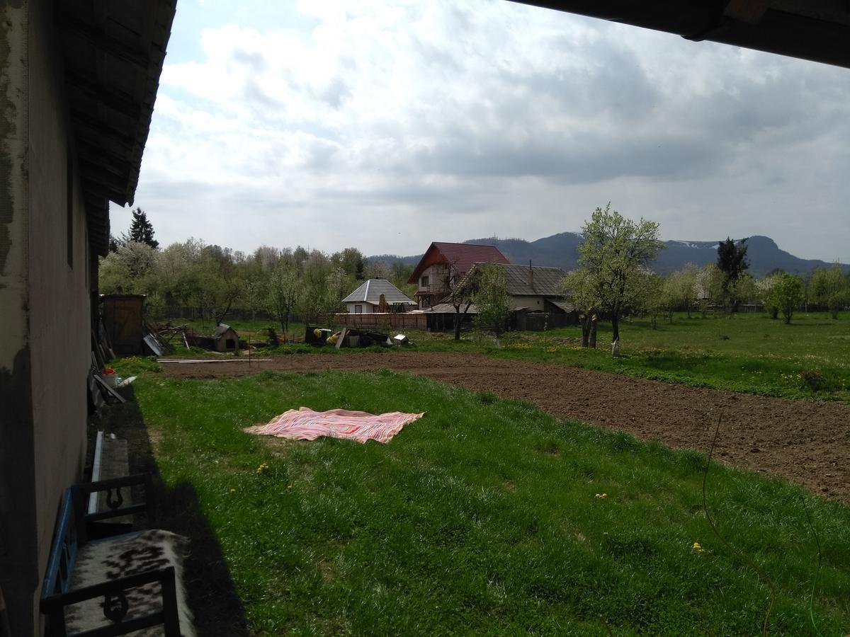Pensiune Agroturistica "Casa Teodora" Budeşti Exterior foto