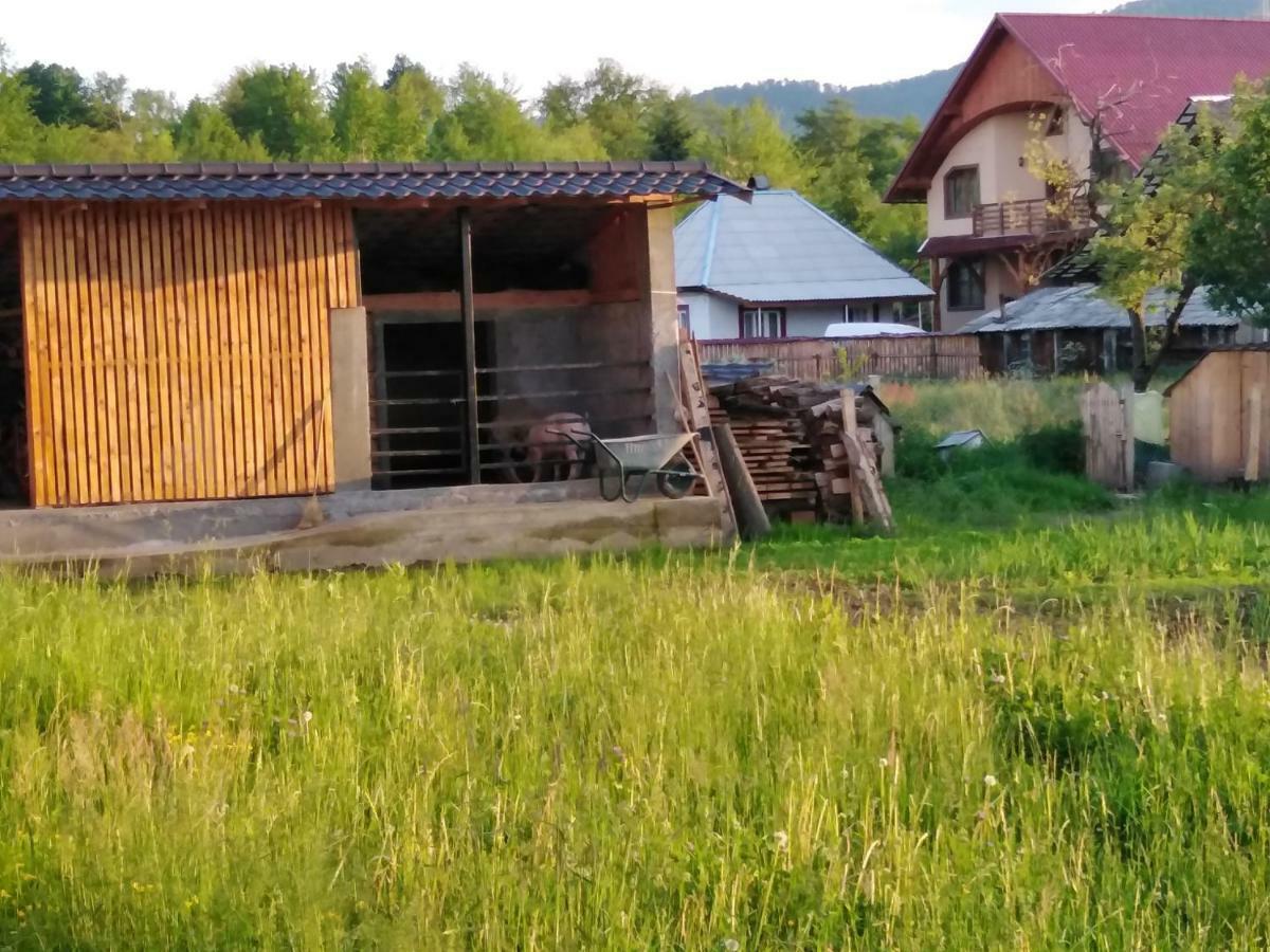Pensiune Agroturistica "Casa Teodora" Budeşti Exterior foto